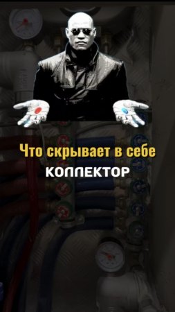 Что скрывает в себе коллектор...