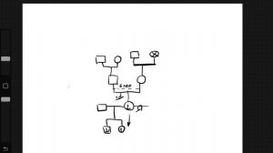 Как построить генограмму самому. Карта рода. Родология.