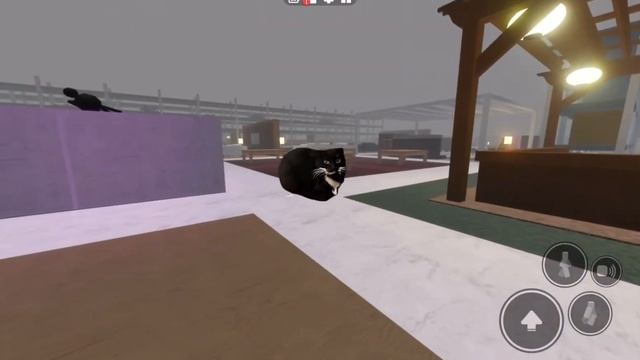 Maxwell the cat in 3008? |Roblox смотреть онлайн