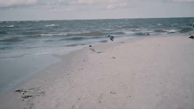 Our relationship with nature