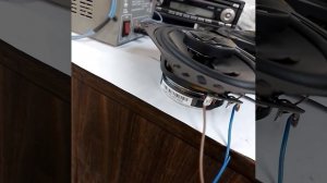 динамики авито