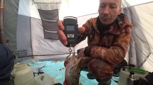 Рыбалка на озере Иргень. Забайкальский край.