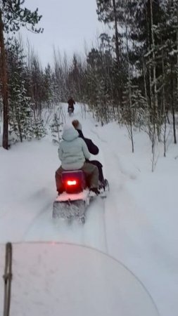ВЫБРАЛИСЬ НА ПРИРОДУ!
