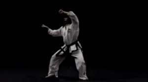 5 гып, Вон Хё, зелено-синий пояс, Won Hyo со спины тхэквондо taekwondo таэквондо