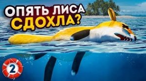 шлёпа предал лесу/старый сезон