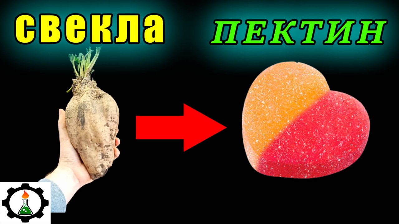 🥕Как добыть ПЕКТИН из СВЕКЛЫ