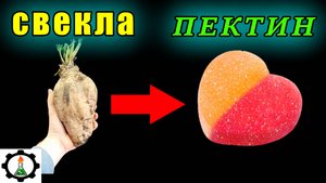 🥕Как добыть ПЕКТИН из СВЕКЛЫ