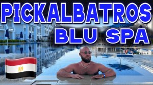 Египет. Хургада, Pickalbatros Blu Spa 16+ - отель для непьющих. Полный обзор: номер, еда, пляж, спа