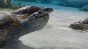 Песня Себастьяна из фильма "Русалочка" — песня "В мире морском"