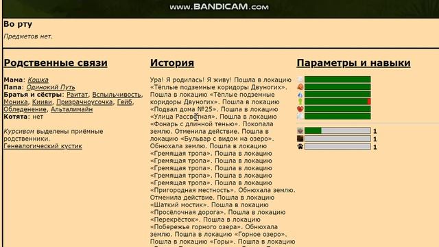 ЗДРАВСТВУЙ ГОРОД! - Catwar  Лепесточек