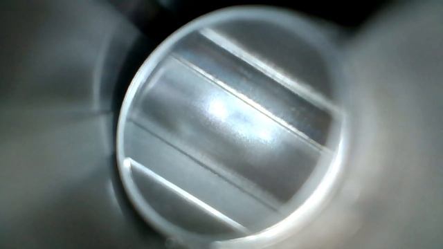 Лось 145 в 308 - осмотр бороскопом смотреть онлайн