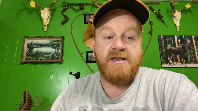 Got stung by a wasp now it’s infected смотреть онлайн