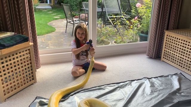 Is my child even ready to handle a Reticulated Python? (Or any animal?) смотреть онлайн