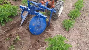 Дисковый самодельный  окучник с культиваторными лапами