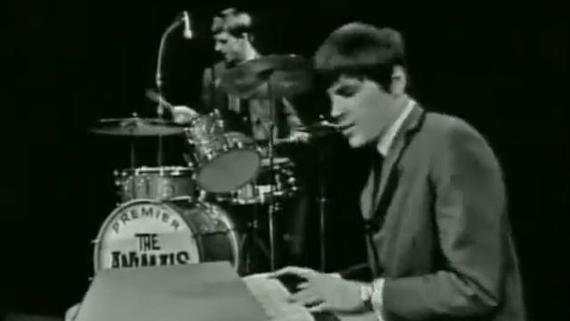 Animals House of the Rising Sun BW смотреть онлайн