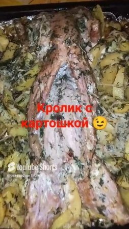 кролик