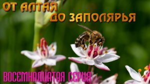 От Алтая до Заполярья. Автопутешествие 2024. Восемнадцатая серия
