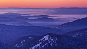 Если я заболею к врачам обращаться не стану ст.Я.Смолякова и Ю.Визбора