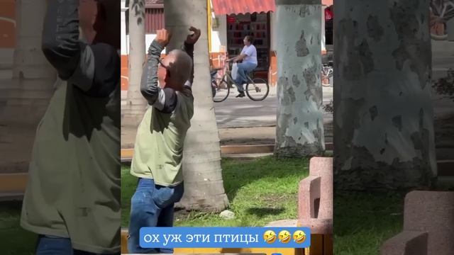 ох уж эти птицы 😂😂😂