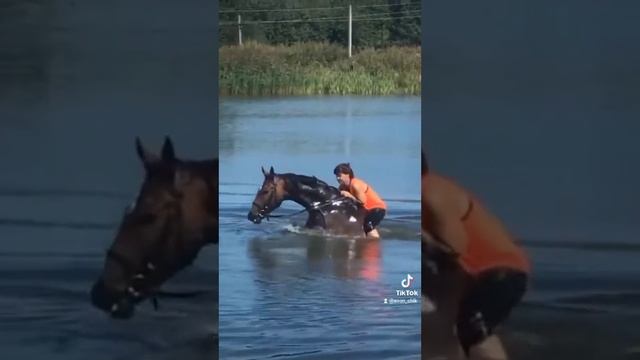 лагерь с Любовью смотреть онлайн