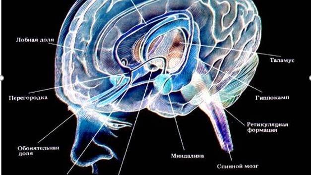 Карты как инструмент для работы психолога.