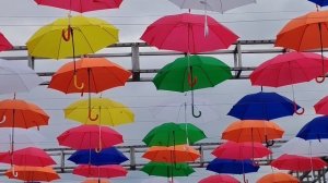 Зонтики на набережной Саратова 29.03.2025 г.