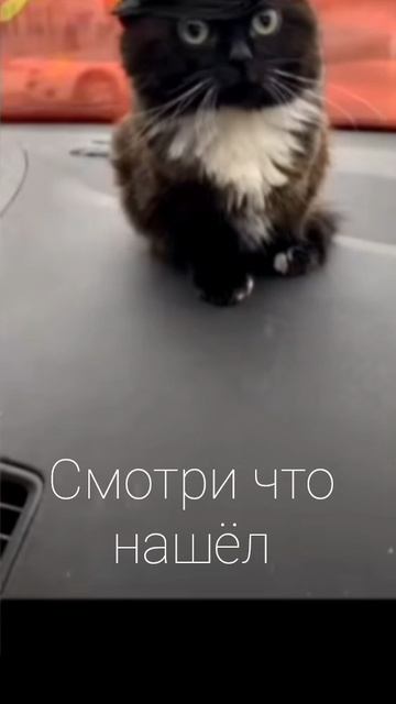 Смотри чё нашёл конечно же для тебя :Р смотреть онлайн