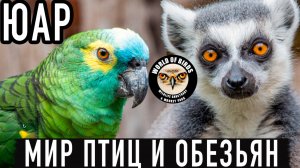 Заповедник Мир птиц и Парк обезьян / ЮАР