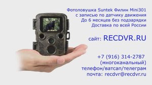 Фотоловушка Suntek Филин Mini301 с записью по датчику движения