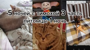 5 ночей с Тимохой 3 часть 1 ночь