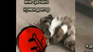 озвучка мини комиксов по ИНМТ (3 часть)