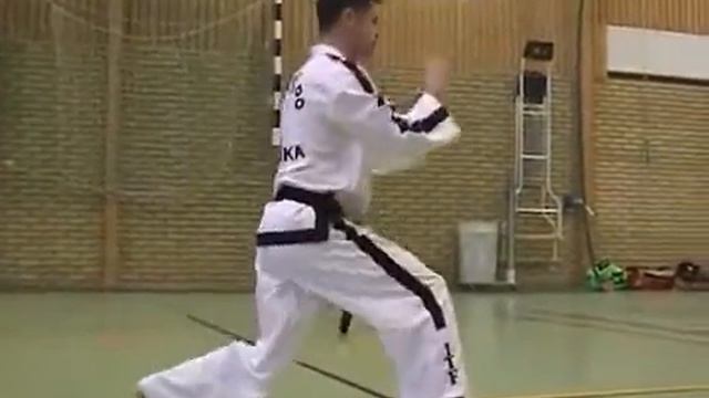 6 гып, зеленый пояс, До сан (Do San) тхэквондо taekwondo таэквондо