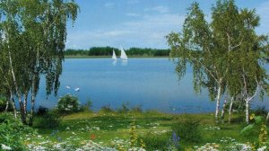 "Матушка" песня из репертуара Татьяны Куртуковой. Кавер - версия исполнения: Людмила Ломаева.