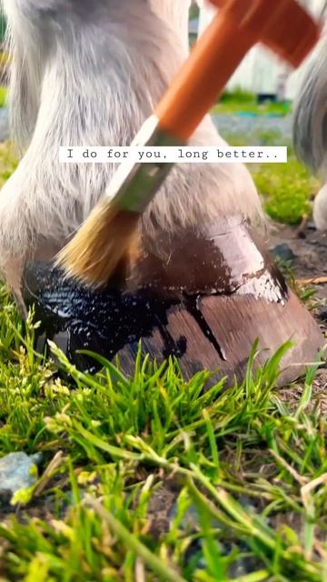 How to fix hoof problems 😂 #horsehumour #equestrian #horse #funnyshorts #jokes #gelnails #hoofcare смотреть онлайн