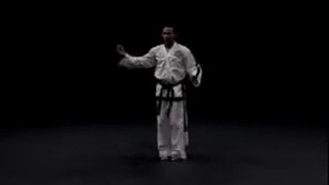 1 Дан, Кван-Гэ черный пояс, Kwang Gae вид сзади тхэквондо taekwondo таэквондо смотреть онлайн