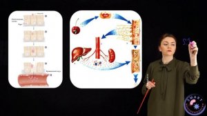 Разберём патогенез брюшного тифа и сальмонеллёзов в этом видео😉