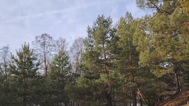 Нас не заденут времена чужого времени
