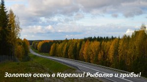 Золотая осень в Карелии! Рыбачим на спиннинг! Сентябрьская природа! Отпуск в Карелии!
