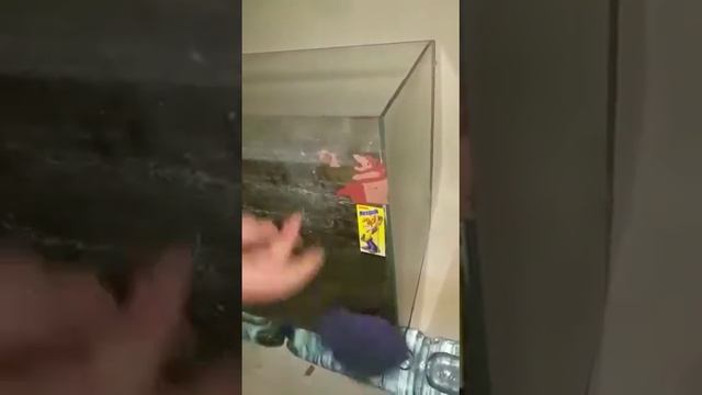 Диск Инволвер Гринвей