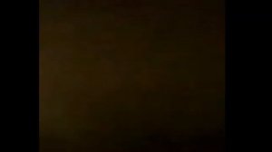 Медведь бежит под музыку