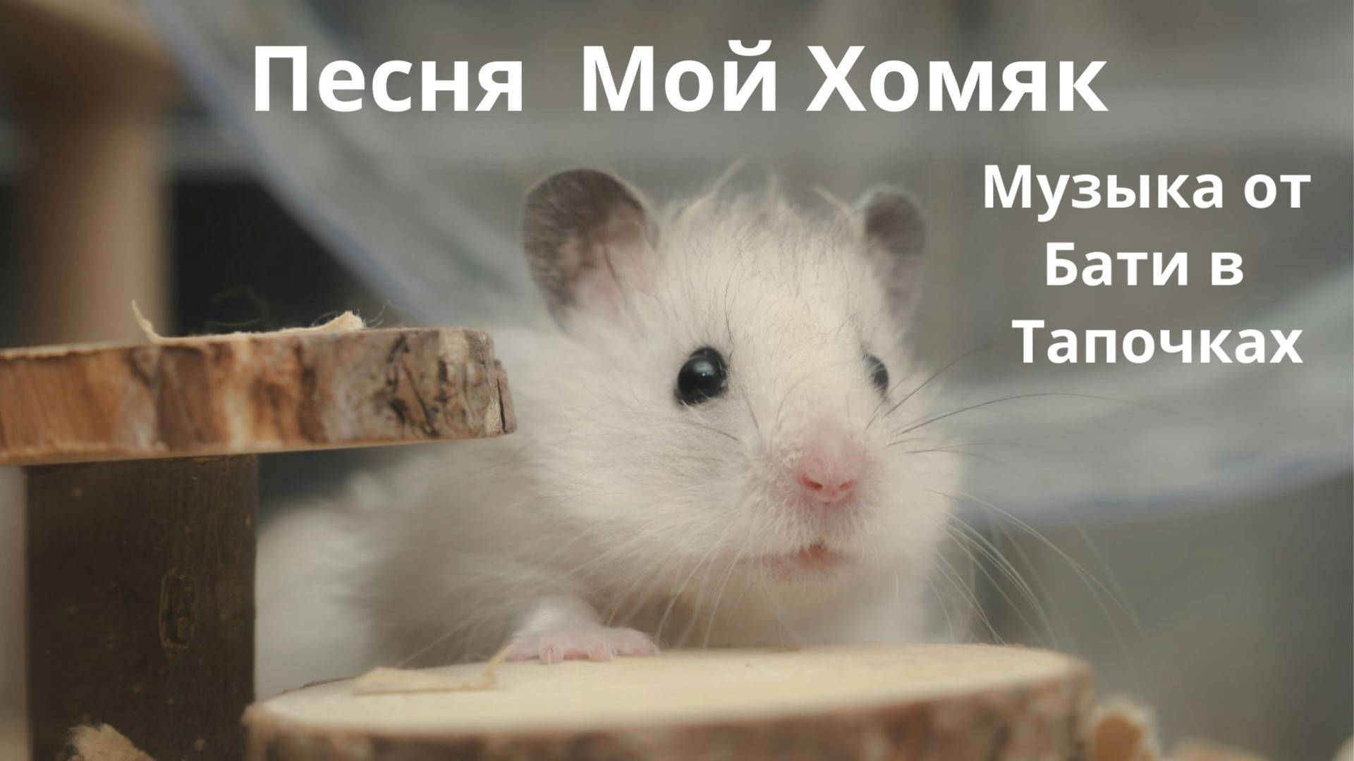 Мой хомяк (Suno Ai)