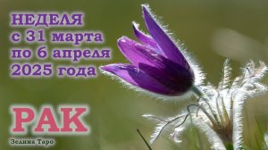 РАК | ТАРО прогноз на неделю с 31 марта по 6 апреля 2025 года