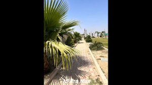 Samsung Galaxy Z Fold 6 VS iPhone 15 Pro Max - Сравнение камер в реальной жизни