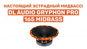 НАСТОЯЩИЙ ЭСТРАДНЫЙ МИДБАСС! DL AUDIO GRYPHON PRO 165 MIDBASS. ОБЗОР И УСТАНОВКА В ВАЗ 2104