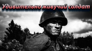Как воевал удивительно живучий солдат Великой Отечественной войны.