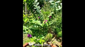 📱 СРАВНЕНИЕ КАМЕР IPHONE 16 PLUS / 15 PLUS / 14 PLUS | РЕАЛЬНОЕ ТЕСТИРОВАНИЕ