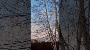 Весенний вечер. 28 марта 2015г