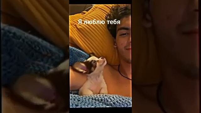 Я люблю Тебя! безмолвные признания в любви - Жизнь заметная, замечайте! смотреть онлайн