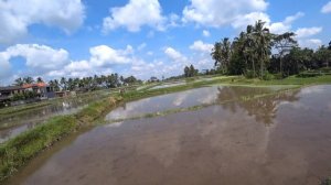 5. Убуд часть2