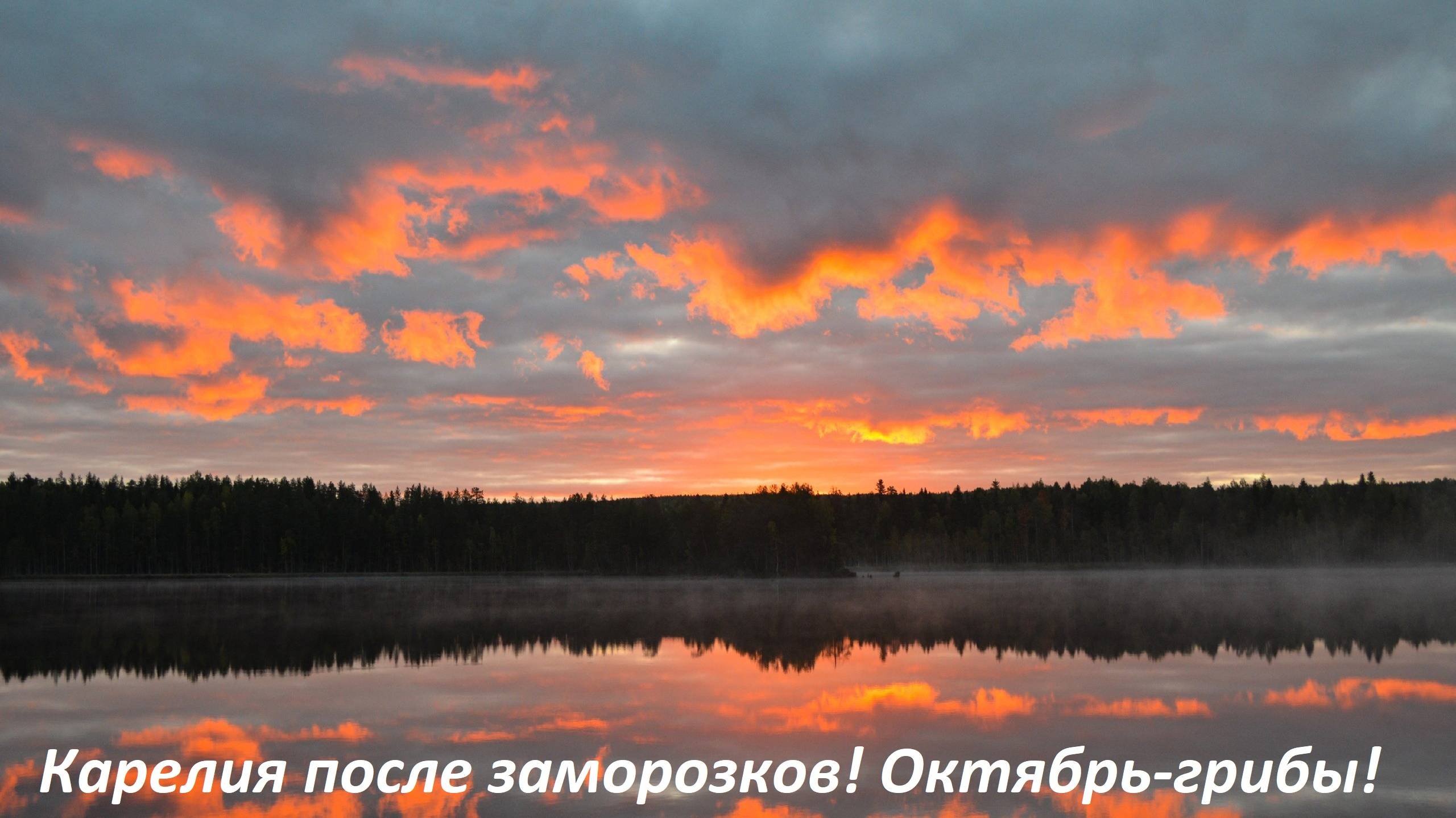 Карелия осенью! Собираем последние грибы и ягоды после заморозка! Осенняя природа! Отпуск в Карелии!
